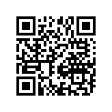 13788-44G00-000 ВОЗДУШНЫЙ ФИЛЬТР ДВИГАТЕЛЯ ВНУТРЕННЕГО С
