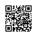 13811-00 DECAL LEFT (FOR CONCORD PURPLE, 2-TONE C