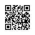 13881-07003 