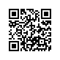 13891-13E00-000 