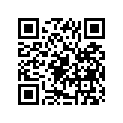13891-13G00-000 