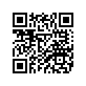 13P-F832B-10-00 GRAPHIC, 15