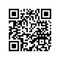 13S-2832C-C0-00 GRAPHIC 16