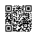13S-2832C-F0-00 GRAPHIC, 16
