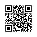 13S-2833E-00-00 BRACET 8