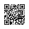 13S-28381-00-00 Стекло Ветровое Пластиковое