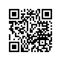 13S-28391-D0-00 GRAPHIC, 1