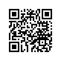 13W-22210-00-00 