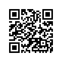 140251106 