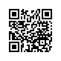 14090136981 