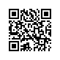 14100228 MEDALLION,FRNG