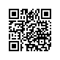 14100343 MEDALLIONASY,SISSYBAR,11