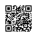 14100407 MEDALLIONASY,WING,FLHRSE