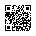 14101071 MEDALLION,ORANGEWTEXTUR