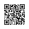 1411-008 DECAL,GRAPHIC-SIDE RH(LM & BLK)