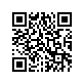 1411-108 DECAL,WARNING-TIRE/LOAD (250)