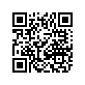 1411-151 DECAL,