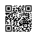 1411-303 DECAL,GRAPHIC FRONT('06 500 CAMO)