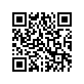 1411-304 DECAL,GRAPHIC FRONT('06 400 CAMO)