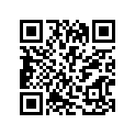 14181-30080 GASKET