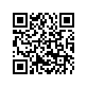 14187D29 Fork Wp D=48 450/505xc+sd  08