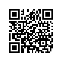 14199-88 DECAL right (grey)