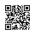 14202-88 DECAL, right (silver, grey & orange)