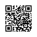 14203-88 DECAL, right (silver, white & orange