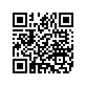 14205-88 DECAL (blue & silver)