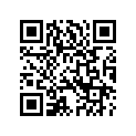 14215-89 DECAL LEFT (SILVER)