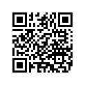 14216-89 DECAL RIGHT (SILVER)