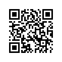 14228-91 DECAL (SILVER, GRAY & ORANGE)