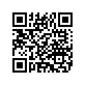 14234-91 DECAL LEFT (ORANGE)