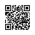 14275-93A DECAL LEFT (POLICE)