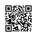 14284-94 DECAL LEFT (GOLD)