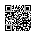 14285-94 DECAL RIGHT (GOLD)