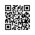 14302-45400-000 Глушитель,L
