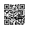 14310-17221-000 