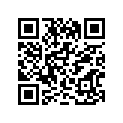 14310-17C31-H01 