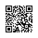 14384-93 DECAL LEFT (AQUA BLUE AND METEOR)