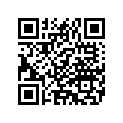 14385-93 DECAL RIGHT (AQUA BLUE AND METEOR)