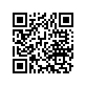 14401-333-003 Chain, Cam