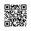 14401-MW0-791 Цепь ГРМ