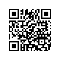 14474-95 DECAL RIGHT (SILVER METALLIC/METEOR)