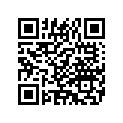 14479-95 DECAL UNLEADED FUEL (NOT ILLUSTRATED) (A