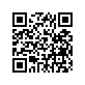 145-28381-00-00 ACC111107400