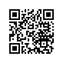 14520-422-000 Guide A, Cam Chain