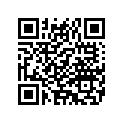 14558-96 DECAL RIGHT (SILVER/PALE GOLD/SKY BLUE/P