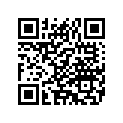 14597-96 DECAL "USA" (GOLD/CHARCOAL/BUR