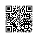 14620-333-000 Guide, Cam Chain